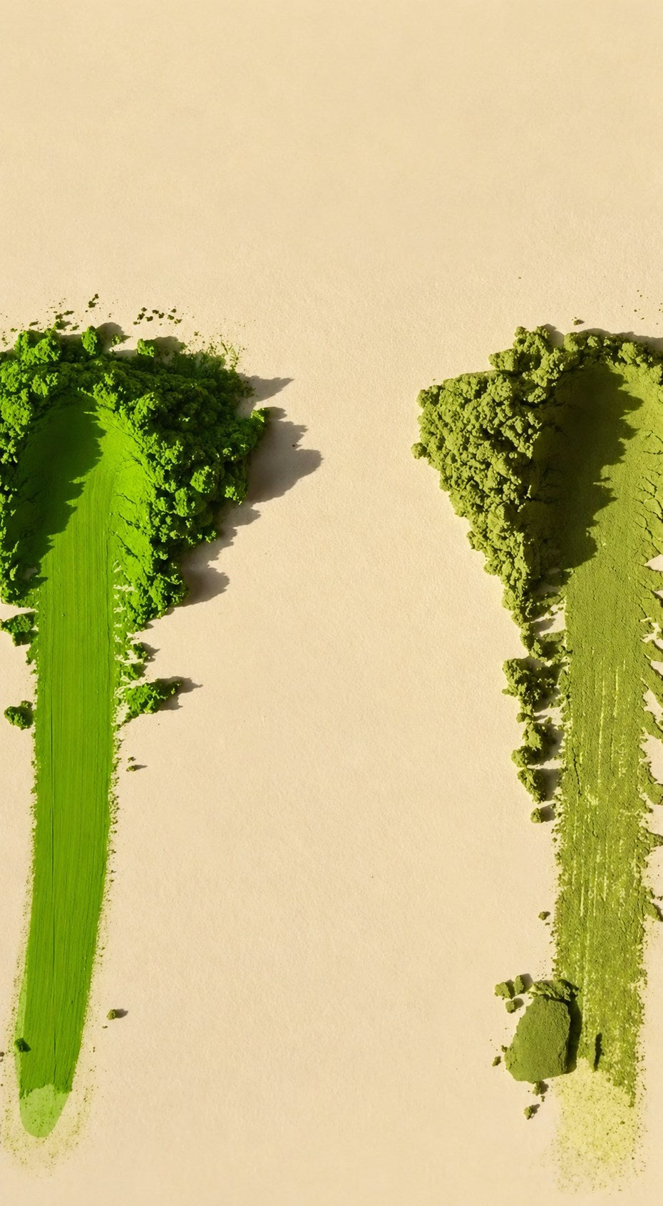 Twee strepen matchapoeder naast elkaar, links het felgroene ceremoniële poeder en rechts het doffere, geligere culinaire poeder